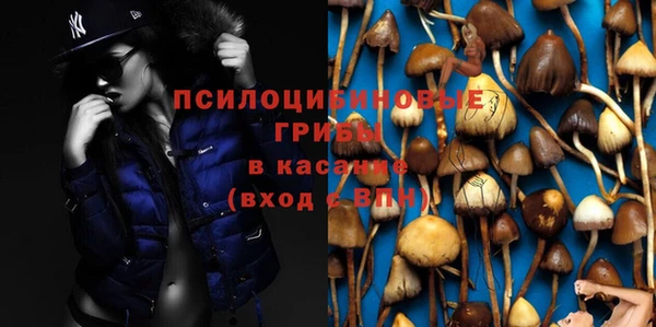 твердый Киренск
