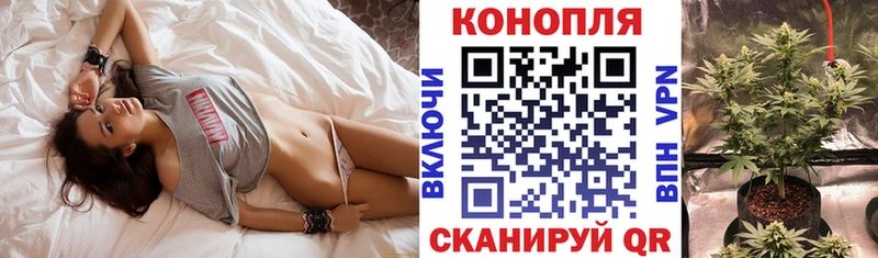 Купить где  Губаха  Канабис Bruce Banner 